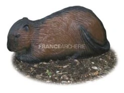 A.A. Cible 3D Ragondin