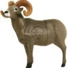 Delta McKenzie Cible 3D Bighorn