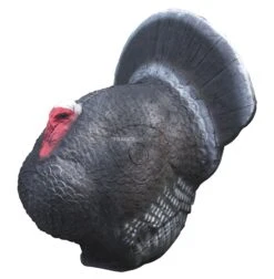 A.A. Cible 3D Dindon