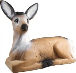 A.A. Cible 3D Chevreuil