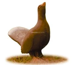 A.A. Cible 3D Coq De Bruyere