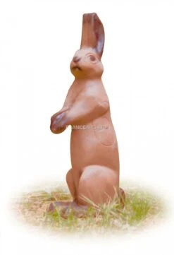 A.A. Cible 3D Lièvre