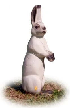 A.A. Cible 3D Lièvre Variable