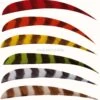 Trueflight Plume Naturelle 5" "Barred" (parabolique) -Arc Flèche Équipement Magasin A538875