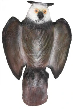 A.A. Cible 3D Hibou