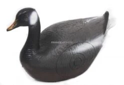 A.A. Cible 3D Oie Canadienne