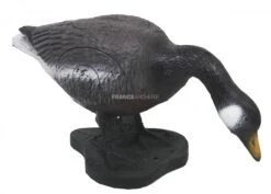 A.A. Cible 3D Oie Buvant