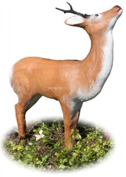 A.A. Cible 3D Chevreuil Qui Mange