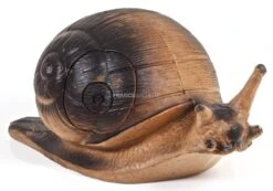 A.A. Cible 3D Escargot