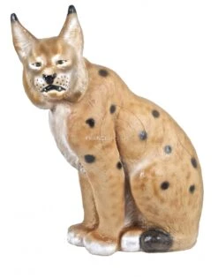 Center Point Cible 3D Lynx Assis