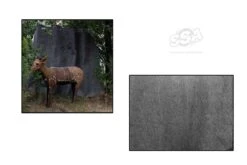 Backstop Filet Max Safe