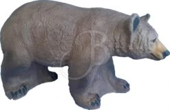 Center Point Cible 3D Ours Brun