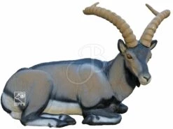 SRT Cible 3D Bouquetin Montex Couché