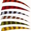 Trueflight Plume Naturelle 5" "Barred" (Shield) -Arc Flèche Équipement Magasin immagini A538882